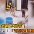 汪汪的教育不能等!柴柴傻眼:「有必要這樣嗎?」