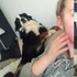 狗狗不小心呼了主人ㄧ個巴掌!道歉愧疚的模樣,讓人看了笑翻啦!