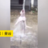 狗狗強力水柱裡洗澡,玩水玩得不亦樂乎!網傻眼:「牠不會痛嗎?」
