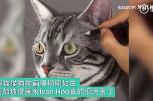 新加坡網紅畫家畫出的貓貓狗狗，簡直就像從照片裡走出來的！