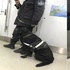 萌!網友在北京地鐵偶遇小警犬,還沒睡醒的牠要開始新一天的工作啦!
