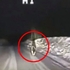 狗狗「為了救主人」帶著警車一路狂奔!接下來的畫面讓警察直呼:不可思議(影片)