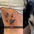 妹子將去世愛犬的骨灰紋在背上:「我要永遠和牠在一起」