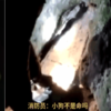古樹起火流浪狗被困,當人們要求先滅火時,消防員:狗的命不是命嗎?