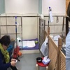為讓狗狗們早日康復,寵物醫院貼心地設置家屬床!