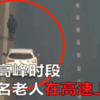 老人高速上遛狗,陌生女司機默默尾隨「守護」!