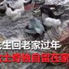 網友節後回家家中變垃圾場,二哈:怪我嘍?