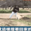 狗狗散步後不想回家竟使出如此奇招,每天都要「防止牠暴走」,這位主人真心累!