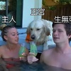 主人新交了男朋友,心機金金竟形影不離,新男友的表情快哭了
