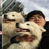 扎心!網友和妹子相親失敗,兩人的狗狗卻意外脫魯了