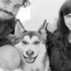 雪橇犬是真的傻嗎?「二哈」憑藉自己的機警成為了英雄