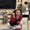 兩個小時前說好出門的主人化妝到現在,二哈:「等到天荒地老」