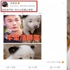 李榮浩同款狗又上熱搜,這次榮浩哥怒了:「這狗長得像我才賣一塊錢?!」
