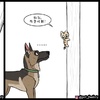 當一隻外表硬漢,內心很暖男的德國牧羊犬,碰上一隻單純傻萌的貓咪,會發生什麼溫暖搞笑的事情呢?