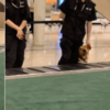 萌死了!緝毒犬看四周沒人,趕緊向警員索要摸摸