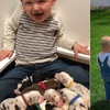 才3歲就有一屋狗,這是全宇宙最幸福的小孩吧!?
