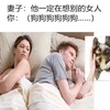 養狗之後,我心裡只想着這些事!真的是太貼切了!
