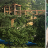 貓咪庭院,簡稱「貓院」是現在最新的寵溺貓主子的方式!這些國外鏟屎官就是狂啊!