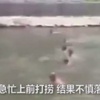 心寒!大陸主人為救狗狗落水身亡,可酸民卻「冷嘲熱諷」