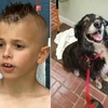 為幫助流浪動物,9歲男孩帶狗狗參賽給流浪汪們賺飼料吃!