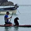 在導盲犬的幫助下,盲人小哥挑戰了大多數人都不敢做的事