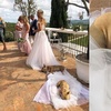 帶兩隻狗參加婚禮,結果睡在新娘的婚紗上流口水!