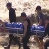 比特犬瘋狂撕咬男孩被判死刑,真相卻翻轉案情令人震驚!現民眾請願放過狗狗!