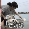 自己洗狗和媽媽洗狗的區別,隔了一條河的距離:「像極了小時候我被洗頭的樣子」