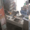 狗狗在小賣部偷火腿腸,臨走前還回頭看看老闆:「記我賬上啊!」