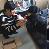 為了讓那些被遺棄的老狗狗能開心地離開人世,善心人建立一家犬隻收容所「臨終關懷療養院」陪牠們過晚年