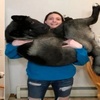 如果你養了一隻大型犬的幼犬,記得千萬別眨眼!因為一不注意,就變大啦!