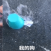 網友用水量表達別人對自己的愛,輪到狗時所有人都感同身受!爸爸:「我心碎了」