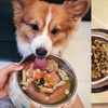 這類被稱作最奢侈的狗糧,為什麼那麼受歡迎?看完我都想要吃了