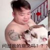 用狗狗練習抱娃,這樣的爸爸也太可愛了吧