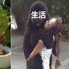 養大狗很拉風?現實直接打臉!這些主人的心酸誰能了解:「養大狗好悲劇!」