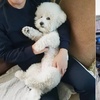 韓國一位妹子表示,總覺得男朋友的狗,看自己的眼神怪怪的
