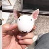 牛頭梗臉型大揭秘!網友:牠其實是鵝蛋臉!