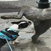 當一隻色狗偶遇一座雕像狗:「嘿,給虧嗎?」