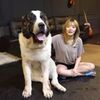 養一隻真·大型犬的生活是什麼樣的?鏟屎官:痛並快樂著!