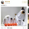 這是什麼狗?蔡依林看了當場高呼:太可怕了!