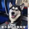 原來用智商換顏值的,除了二哈,還有這麼多狗!