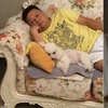 「狗,快把我爸還給我!」當初說不准養狗的真香父母,現在吸狗就飽了