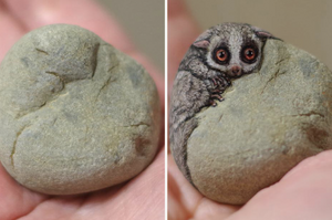 超有才！日本藝術家把石頭「變成掌上動物」，整個感覺活了起來！