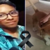 小男孩衝進火海救狗不幸身亡,鍵盤俠酸:一隻狗而已,值得嗎?