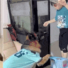 狗狗的零食總是莫名失蹤,網友蹲守幾天後…意外發現了可愛的真相!