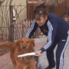 疫情期間,很多聰明的金金擔起了養家糊口的重任!