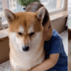 鏟屎生活:「我家孩子以為,狗也是我生的…?」