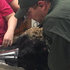 優秀警犬烈日下追查罪犯,沒想到1小時後中暑亡