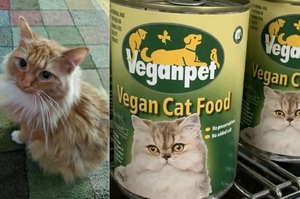 瘋了！鏟屎官抱怨：「素食主義女朋友逼我扔掉我的貓，竟是因為牠吃肉…」