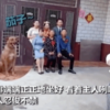 新婚前拍全家福,而家中狗狗卻成了全場的焦點